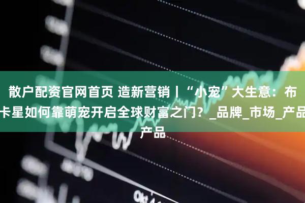 散户配资官网首页 造新营销丨“小宠”大生意：布卡星如何靠萌宠开启全球财富之门？_品牌_市场_产品