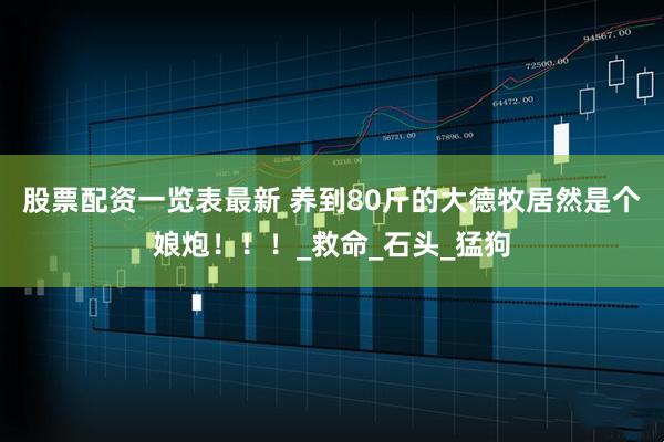 股票配资一览表最新 养到80斤的大德牧居然是个娘炮！！！_救命_石头_猛狗